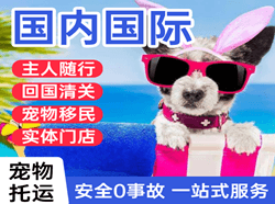 和田航空运输国际宠物托运 【国